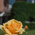 Lejlighed Hauke Haien Böhl
