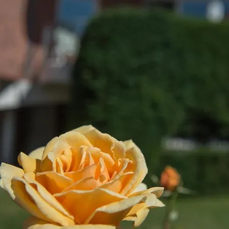 Apartman Hauke Haien Sankt Peter-Ording